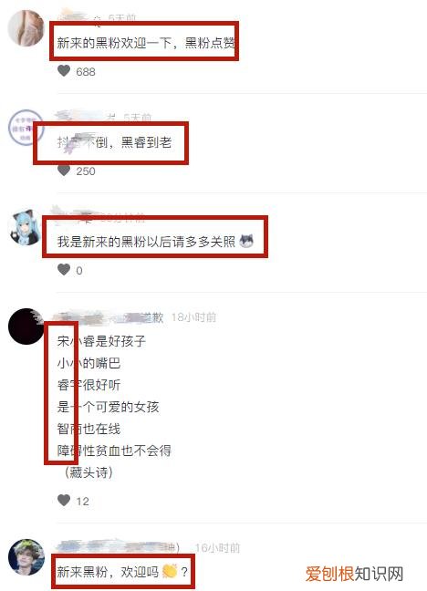 宋小睿为什么会被那么多人黑 宋小睿为什么不用上学