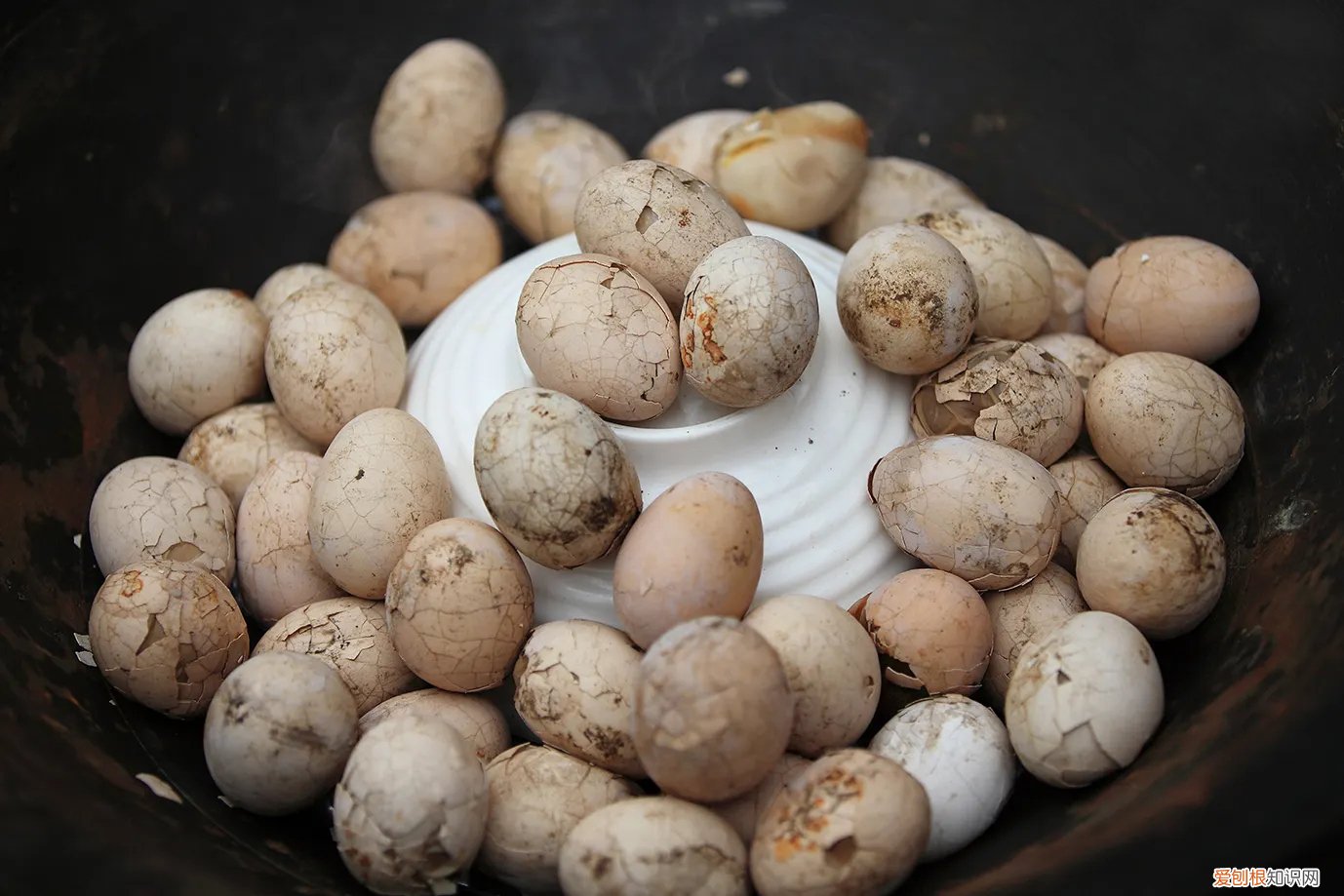 童子尿煮鸡蛋科学吗 童子尿煮鸡蛋真的有功效吗