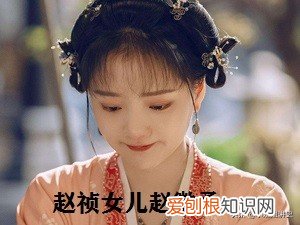 宋仁宗赵祯为什么没有儿子？宋仁宗赵祯的简介