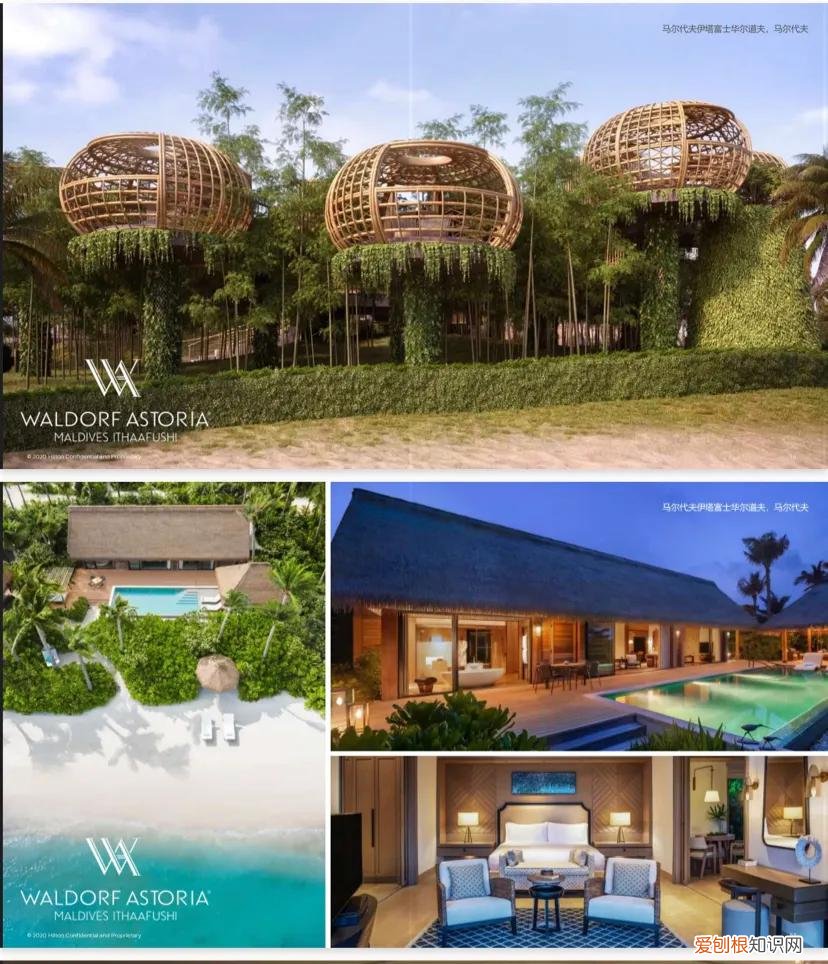 希尔顿酒店品牌历史介绍 希尔顿欢朋酒店几星级