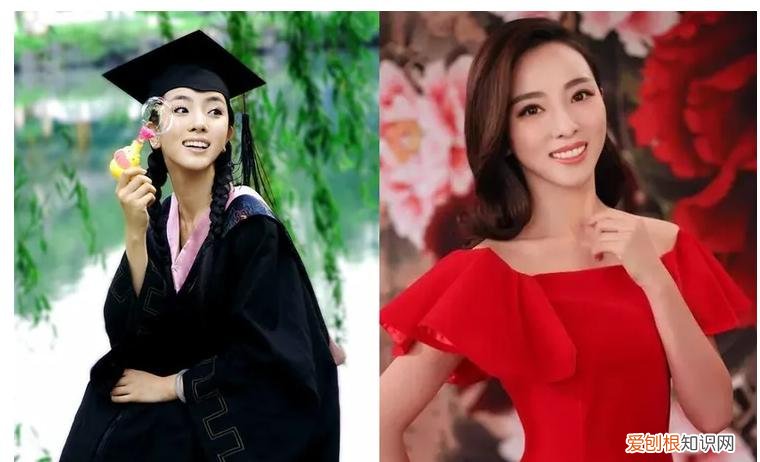 三年生两个娃,风光的背后有泪水 李思思的个人资料简介