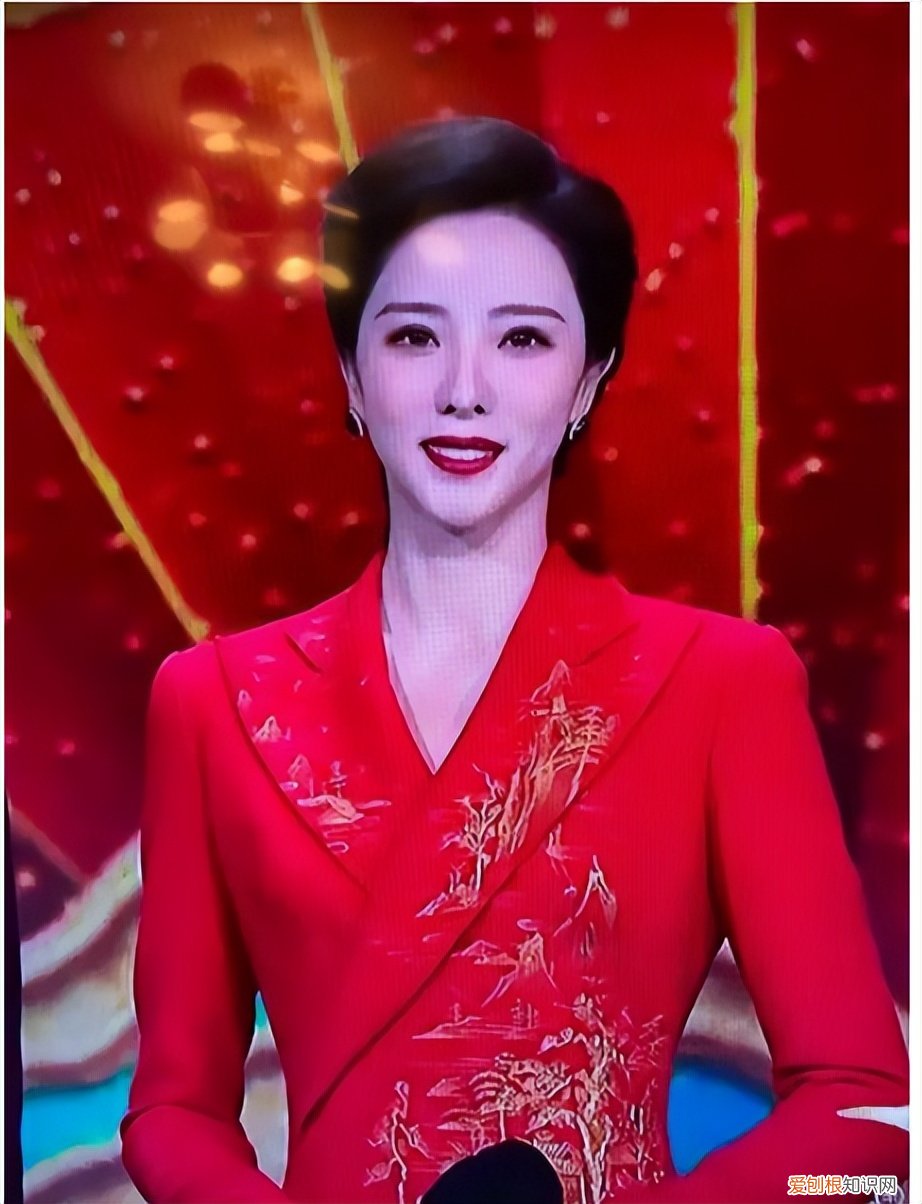 三年生两个娃，风光的背后有泪水 李思思的个人资料简介