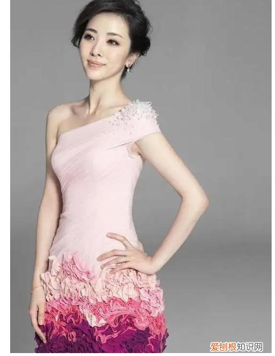 三年生两个娃,风光的背后有泪水 李思思的个人资料简介