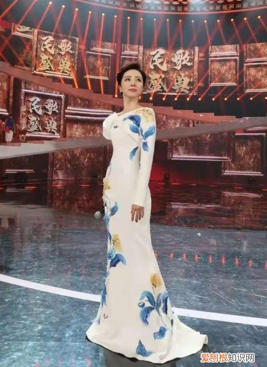 三年生两个娃，风光的背后有泪水 李思思的个人资料简介