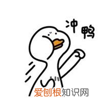 视觉传达设计是学什么的？关于设计方面的知识的学习