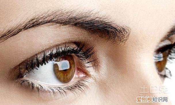 来看看科学是怎么解释的！ 左眼跳是什么兆头