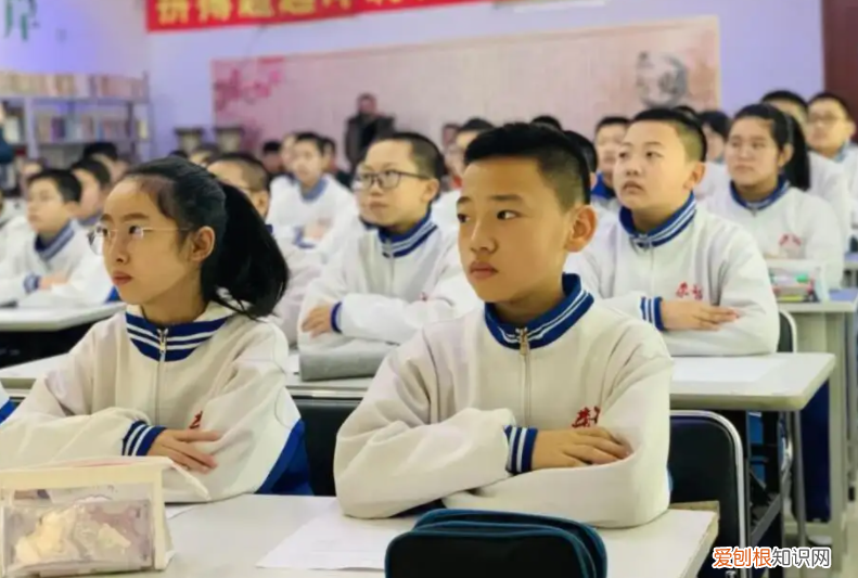 差距很明朗，千万别选错 公办学校和民办学校的区别