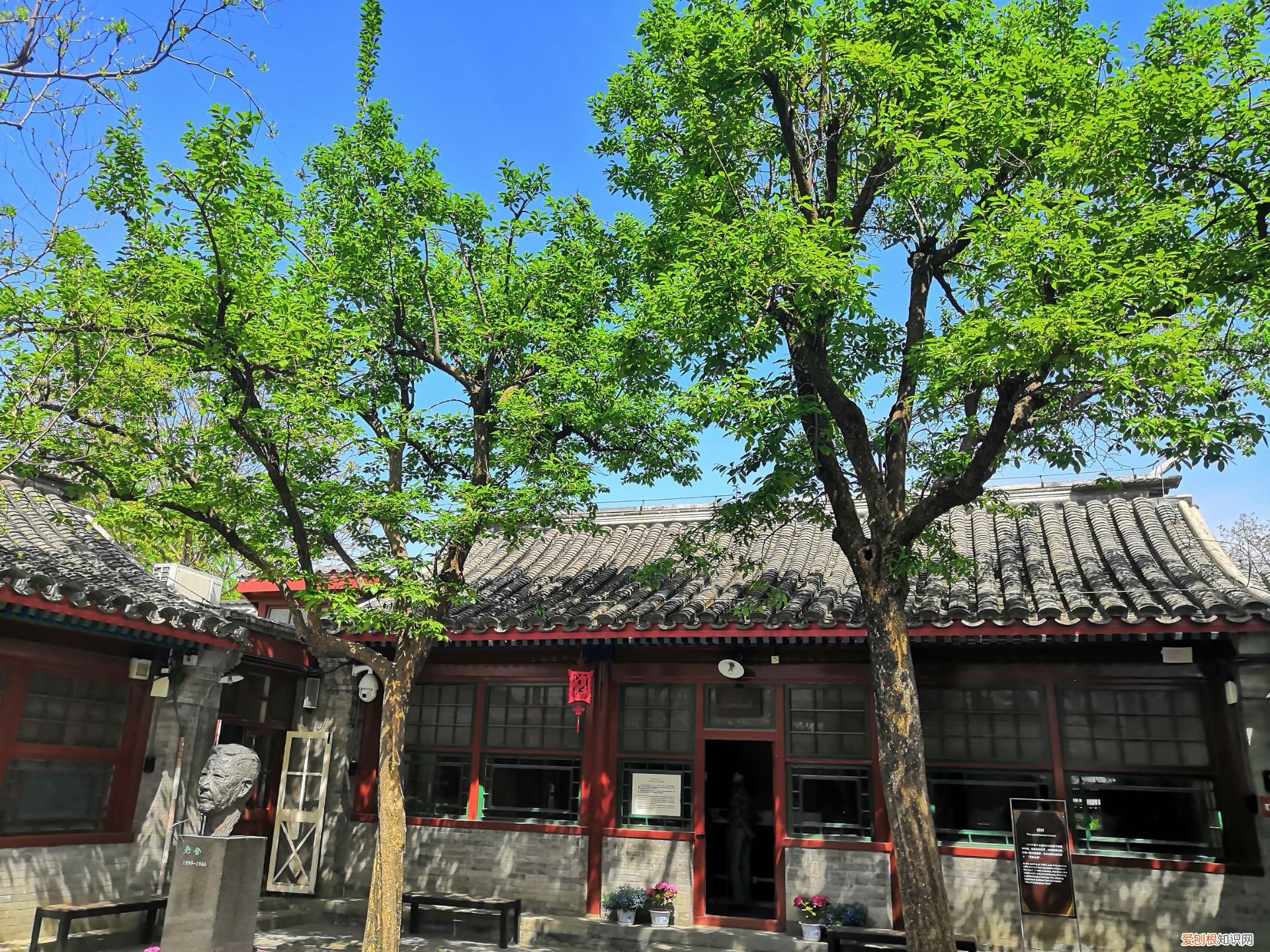 老舍的代表作品有哪些？3分钟带你了解一代文学巨匠