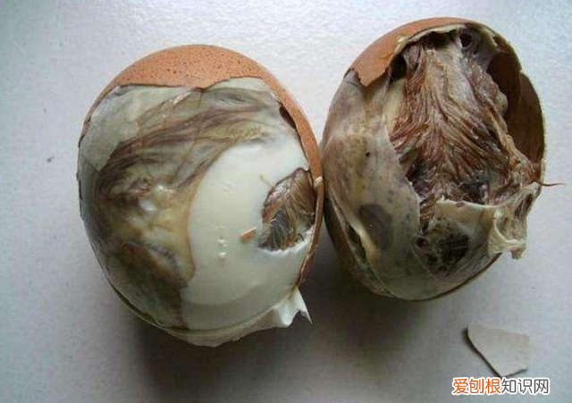 毛鸡蛋和活珠子是一样的么？活珠子和毛鸡蛋的区别