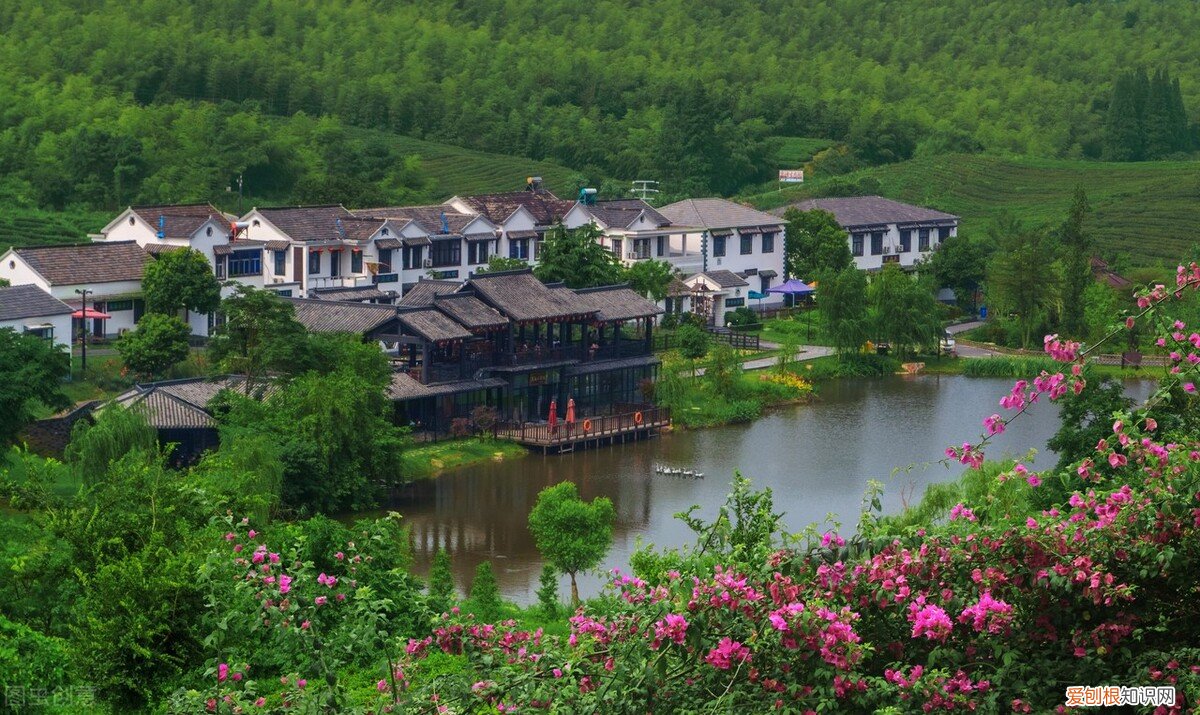 农村俗语“坟前不种三 坟墓前最怕放什么东西