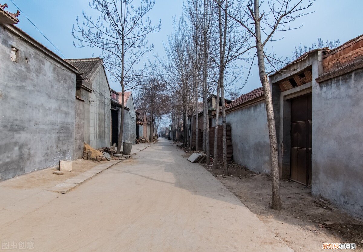 农村俗语“坟前不种三 坟墓前最怕放什么东西