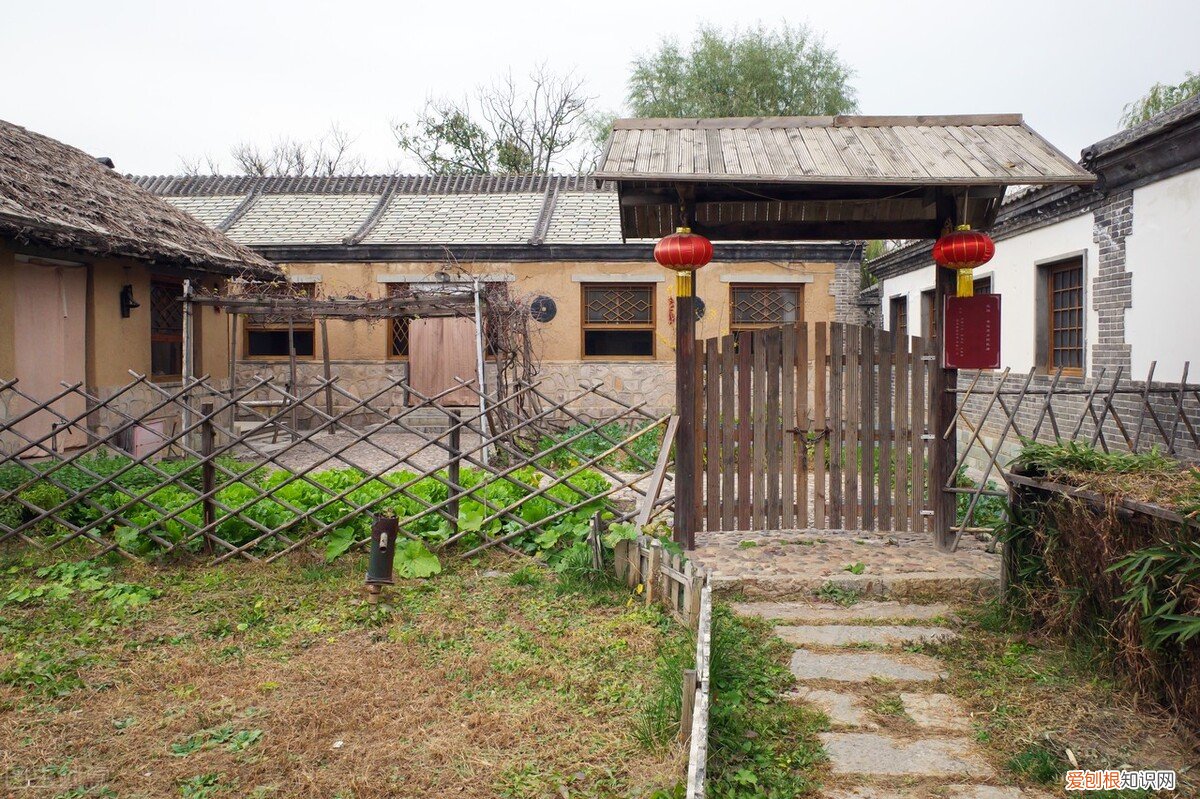 农村俗语“坟前不种三 坟墓前最怕放什么东西