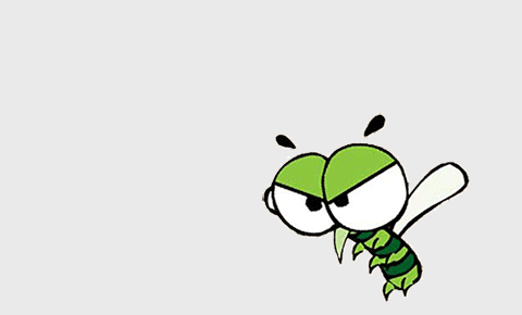 多年的疑问总算解开了 为什么下雨天蚊子不会被雨滴砸死