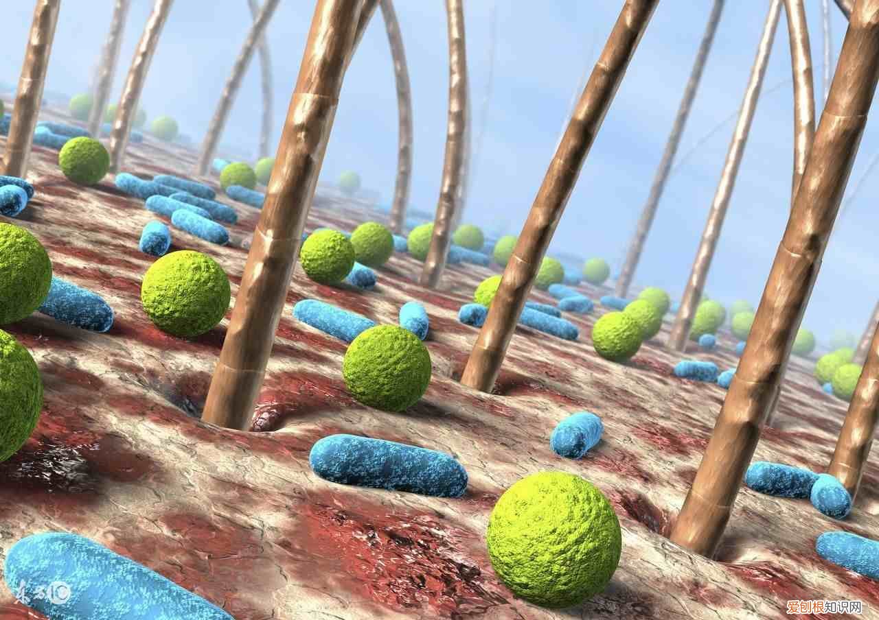 目前治疗毛囊炎都有哪些有效的药物 毛囊炎用什么药最有效