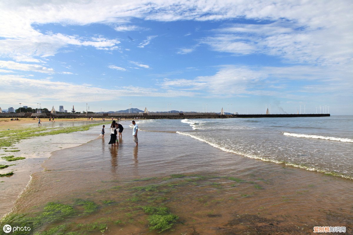 潮汐表潮高多少适合赶海，教你如何看懂赶海潮汐时间表