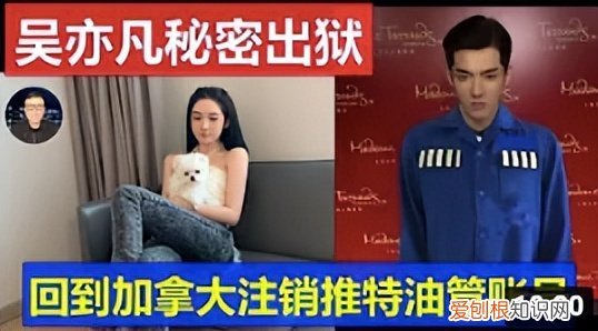 吴亦凡最新事件进展,网传他已回到加拿大了