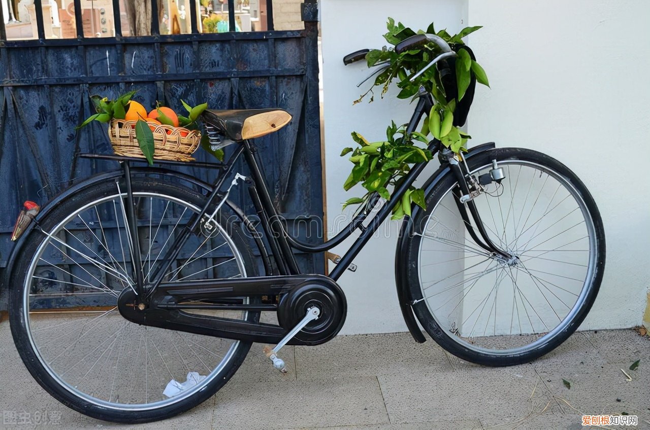 崔克蝴蝶自行车多少钱？一辆自行车达50万美元