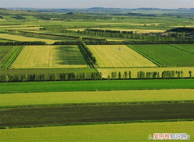中国最大的平原在哪里？面积接近一个日本那么大