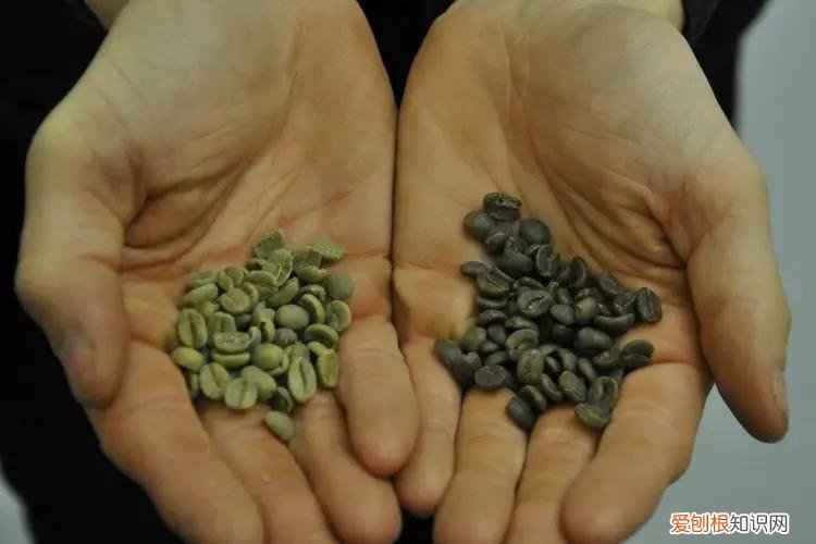 黑咖啡能减肥吗?黑咖啡的功效与作用