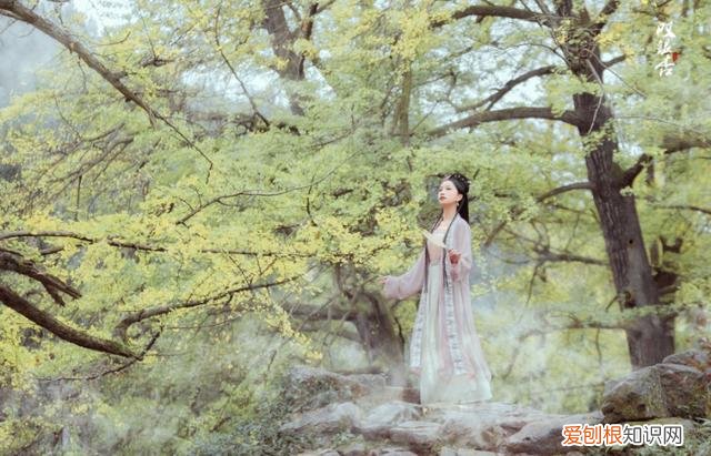 虽然三观有些不正，但是肉挺多 十部必看乱文经典乱文