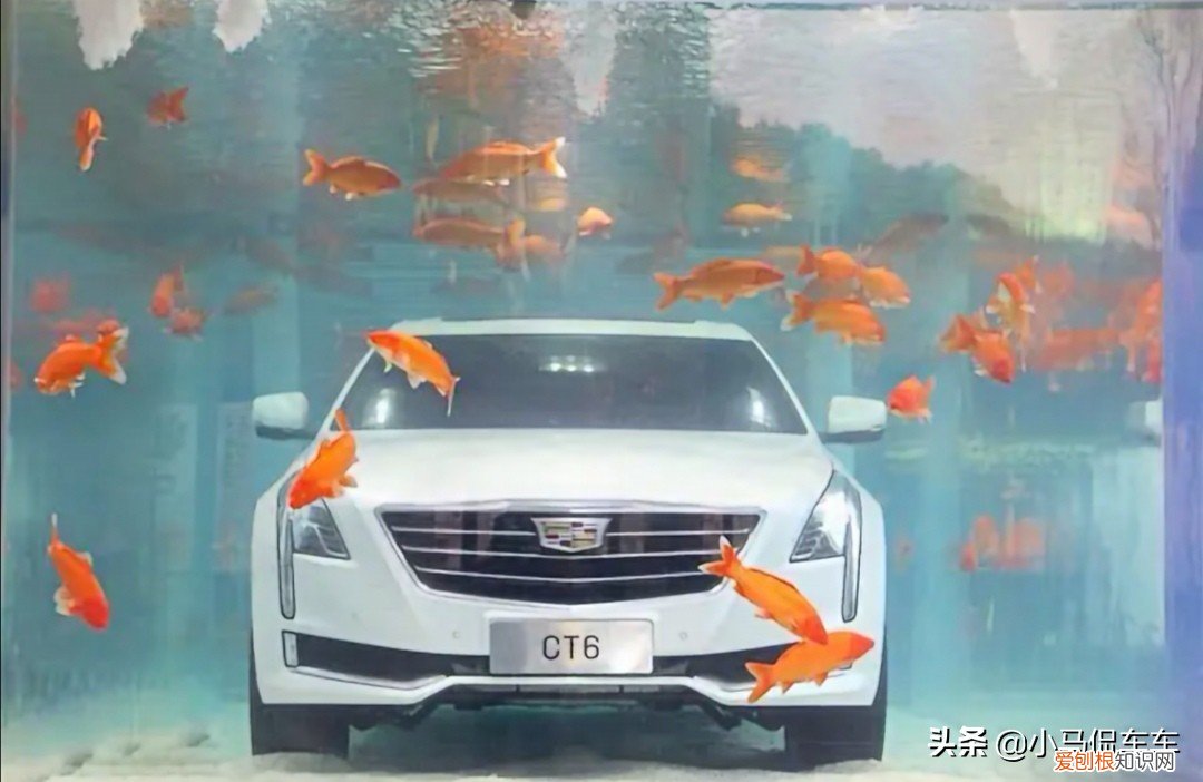 凯迪拉克追高铁事件是真实的吗?事件视频系拼接,都是假的