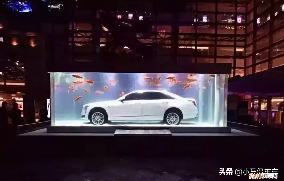 凯迪拉克追高铁事件是真实的吗?事件视频系拼接,都是假的