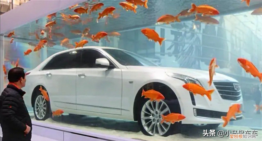 凯迪拉克追高铁事件是真实的吗?事件视频系拼接,都是假的