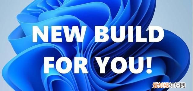 微软最新系统w11