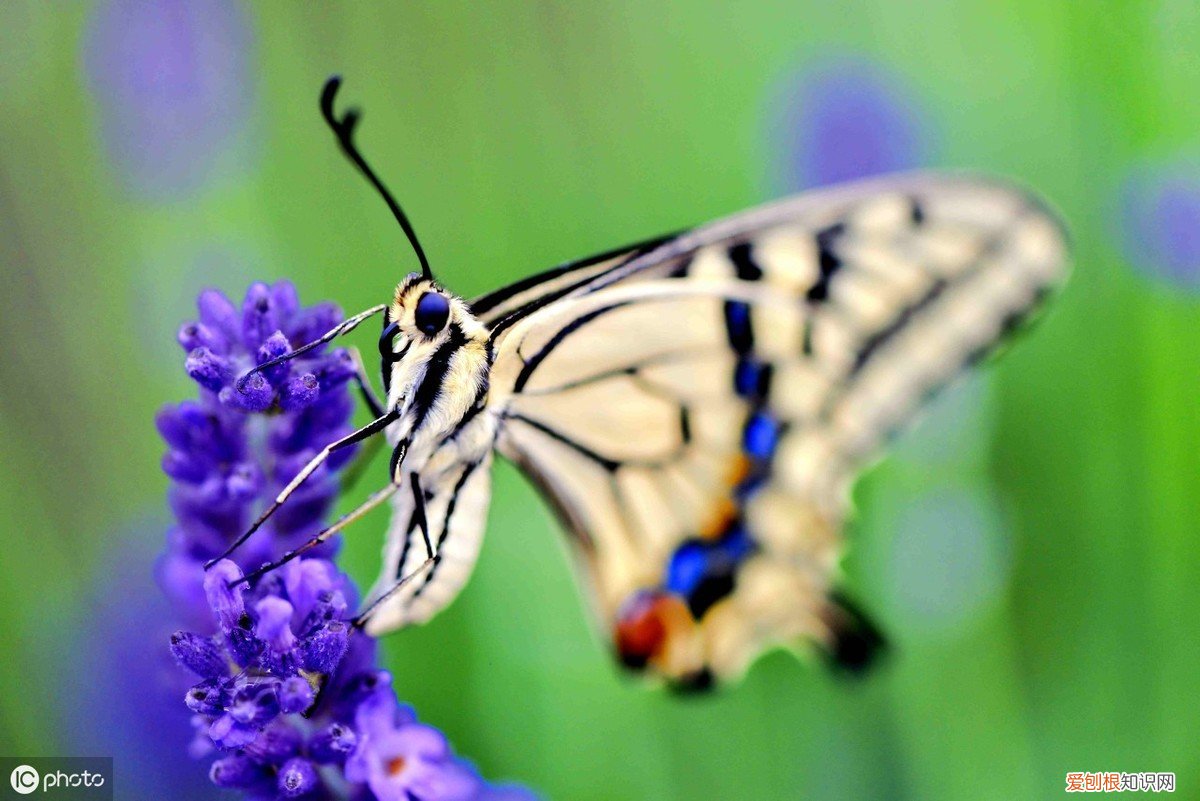 写尽人间悲欢离合 苏轼最有名的十首诗
