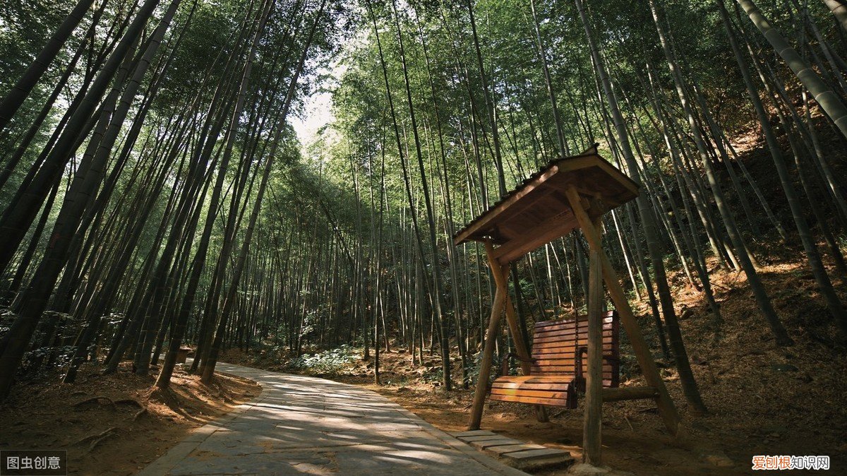 写尽人间悲欢离合 苏轼最有名的十首诗