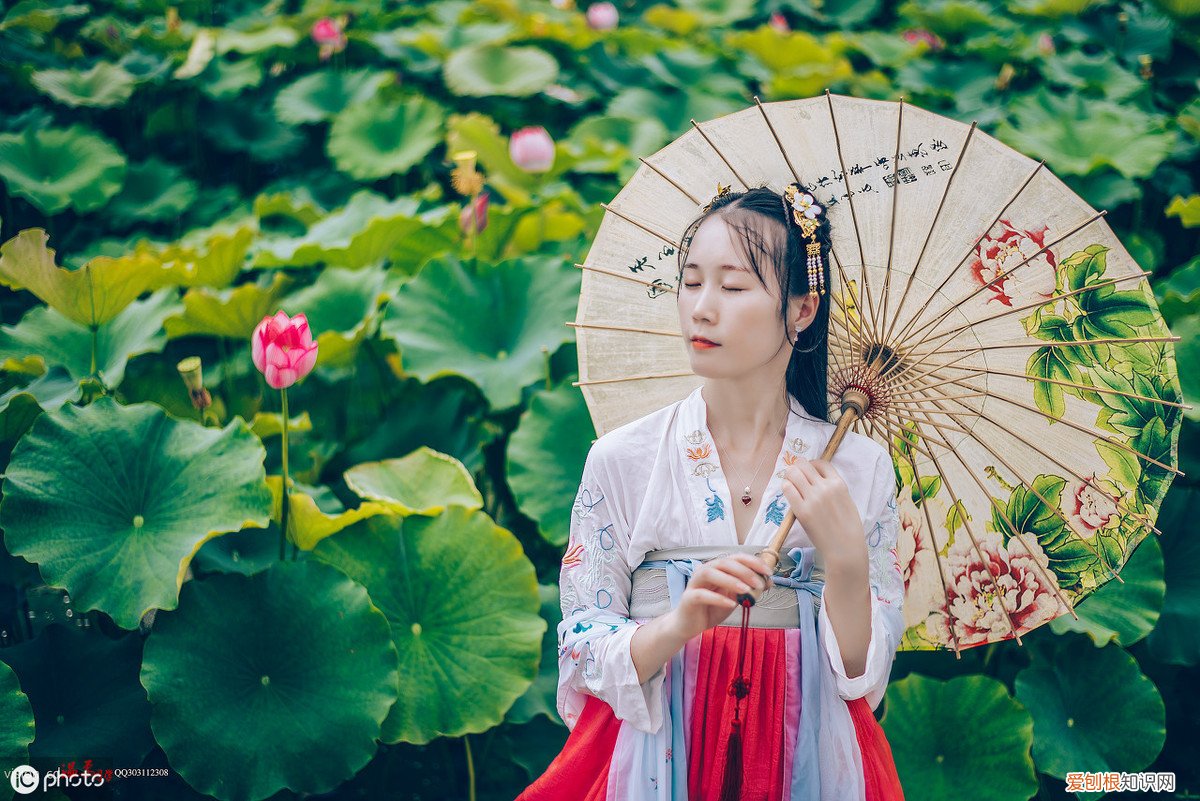 写尽人间悲欢离合 苏轼最有名的十首诗