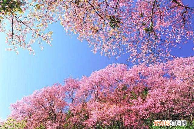 沾上一个就能翻身!  5种征兆要发财