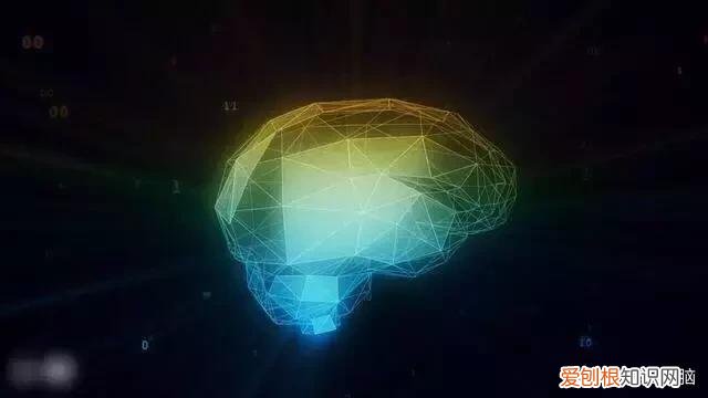 你属于哪种思维优势？ 左脑思维和右脑思维有什么区别