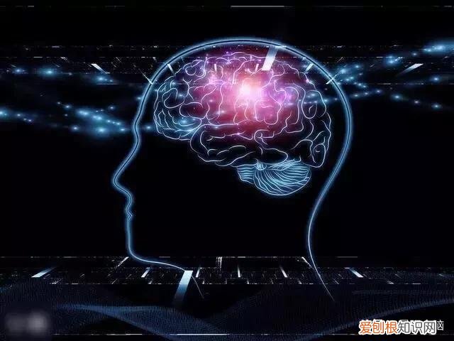 你属于哪种思维优势？ 左脑思维和右脑思维有什么区别