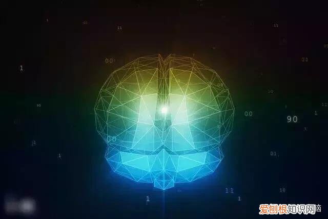 你属于哪种思维优势？ 左脑思维和右脑思维有什么区别