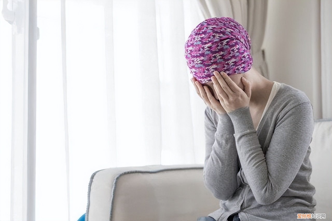 附:朱迅身体最新情况2022详细介绍 朱迅最近身体怎么样?