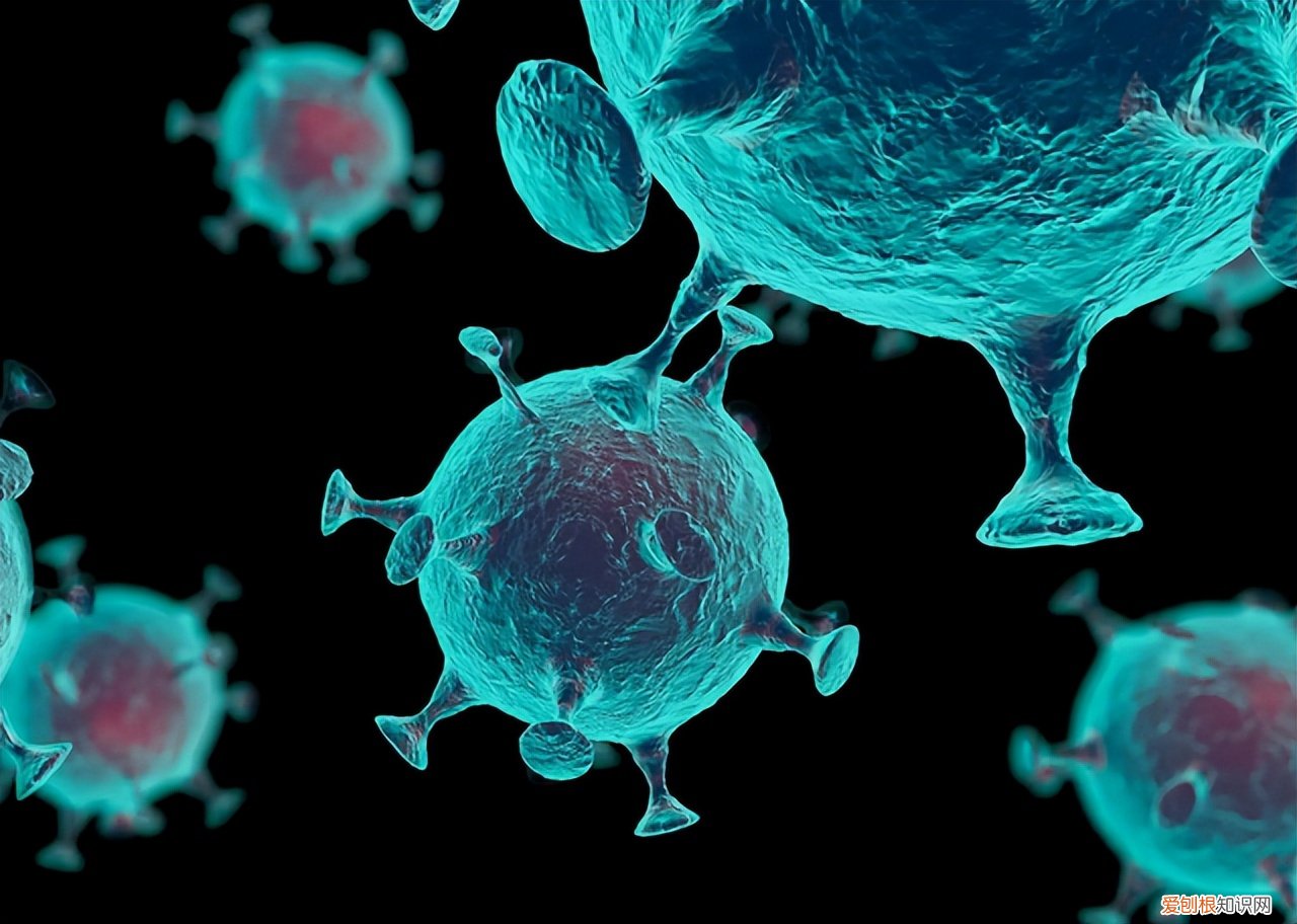 附：朱迅身体最新情况2022详细介绍 朱迅最近身体怎么样？