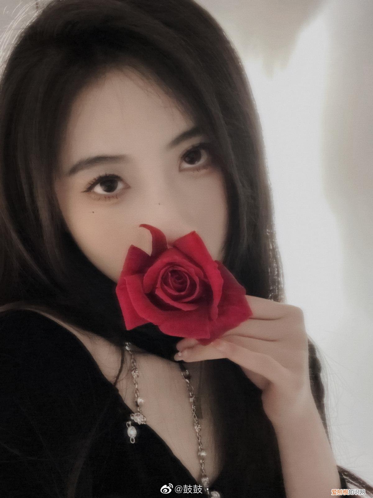 LPL女解说鼓鼓遭网暴? 娜美寿司有什么黑历史