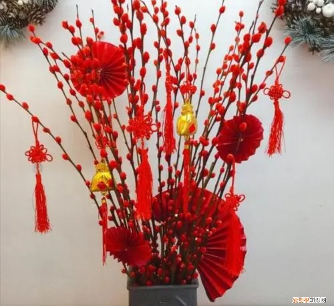 银柳是干养还是水培?其实这两种方法都是可以的