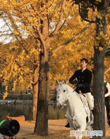 长腿欧巴是谁?韩国第一长腿欧巴——33岁李敏镐