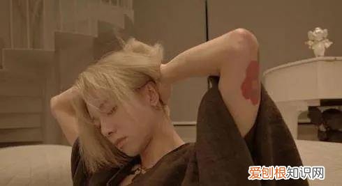 华晨宇的家世关系 华晨宇的爸爸是谁