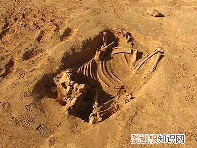 楼兰古城为什么是禁区?楼兰遗址为什么不能进入