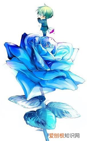 蓝色妖姬的花语是什么意思？花语代表清纯的爱