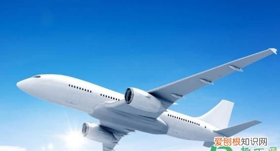 2021年坐飞机可以带鸡蛋,2021年飞机上可以接电话吗