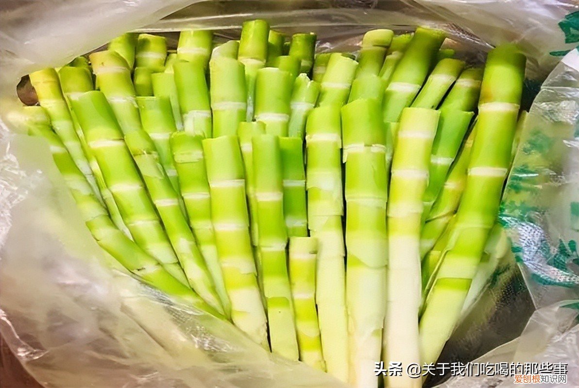 不懂的千万别乱吃 六种人不宜多吃竹笋