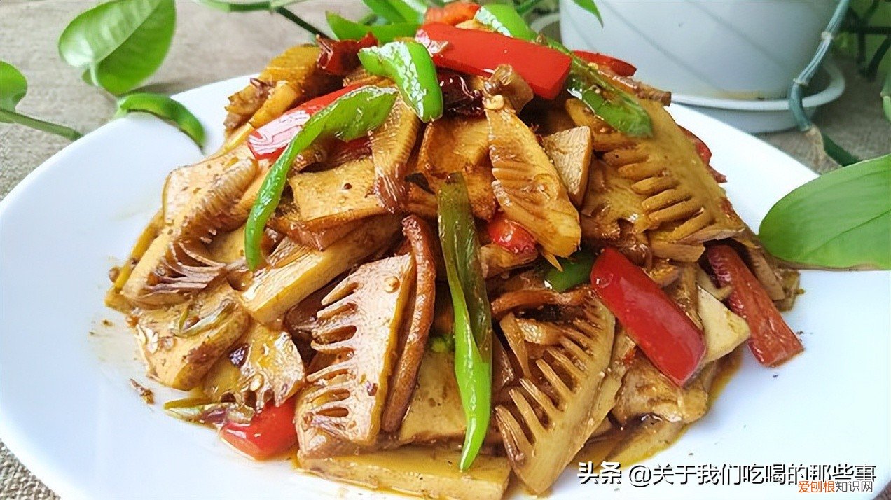 不懂的千万别乱吃 六种人不宜多吃竹笋
