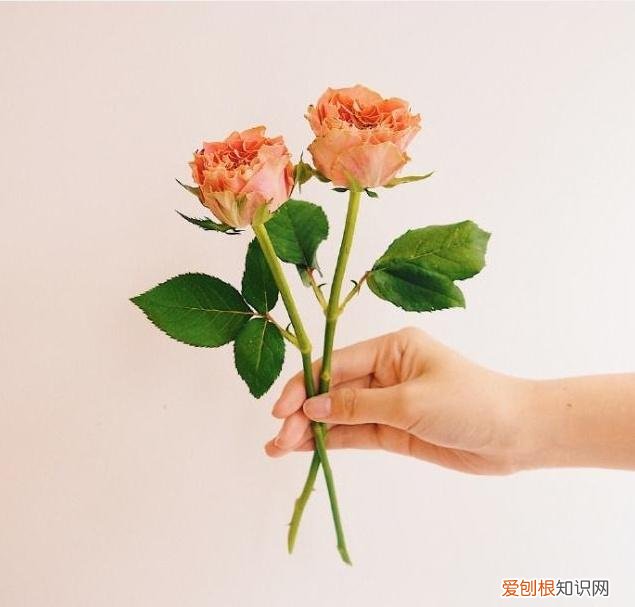 深情走心，甜到心窝里! 最感动婚外情人的句子