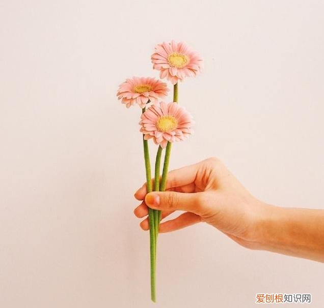 深情走心，甜到心窝里! 最感动婚外情人的句子