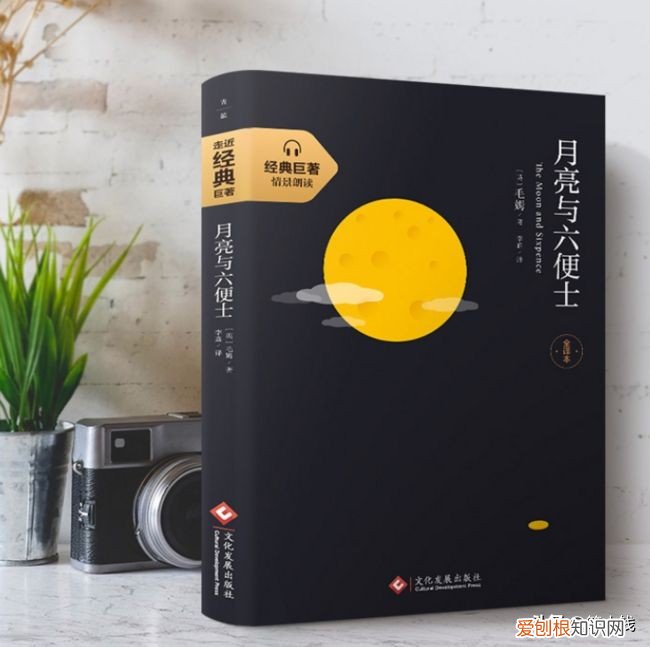 人生必看十大好书推荐 值得看的书排行榜前十名