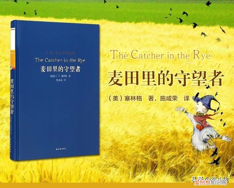 人生必看十大好书推荐 值得看的书排行榜前十名